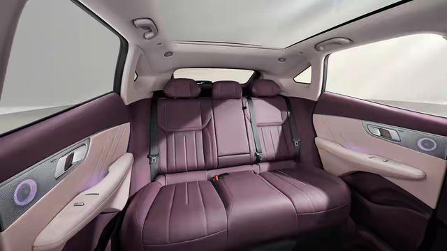 UV纯电最高655km综合破1600km开元棋牌年底购车必看！15万拿下这5款S(图11)